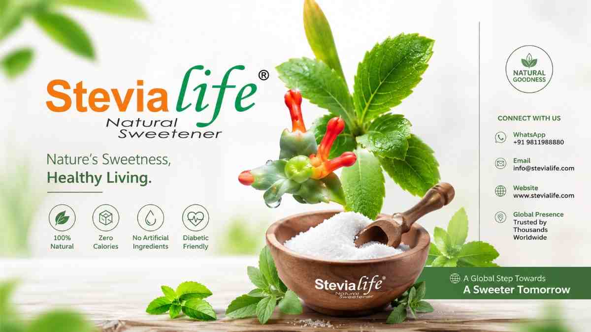 Stevia Plant